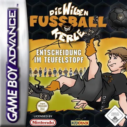 Wilden Fussball-Kerle, Die - Entscheidung im Teufelstopf