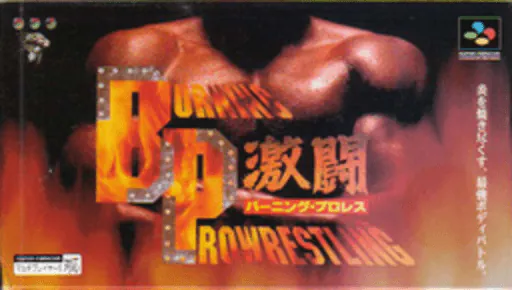 Gekitou Burning Pro Wres