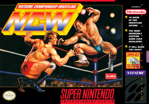 Natsume Championship Wrestling