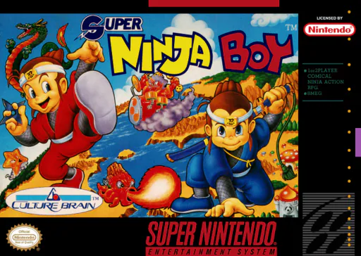Super Ninja Boy